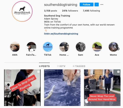 which dog has the most instagram followers