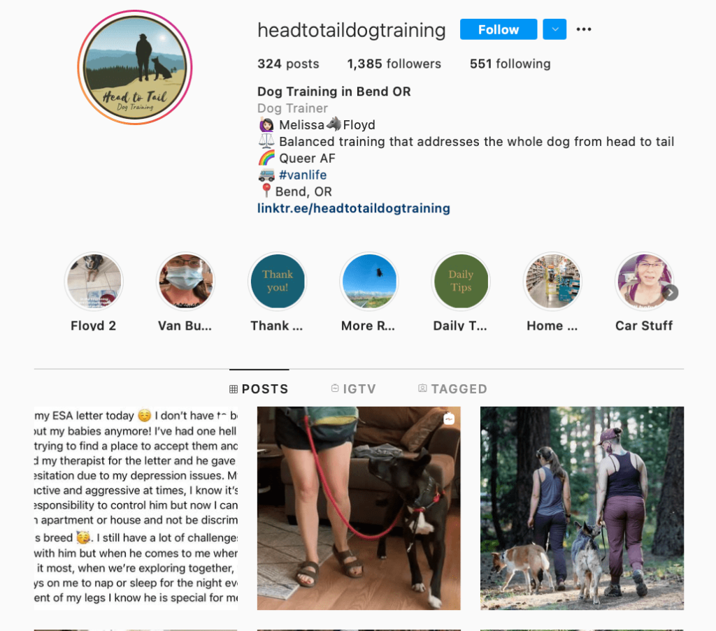 Top 6 Dog Trainers To Follow On Instagram - AhaSave