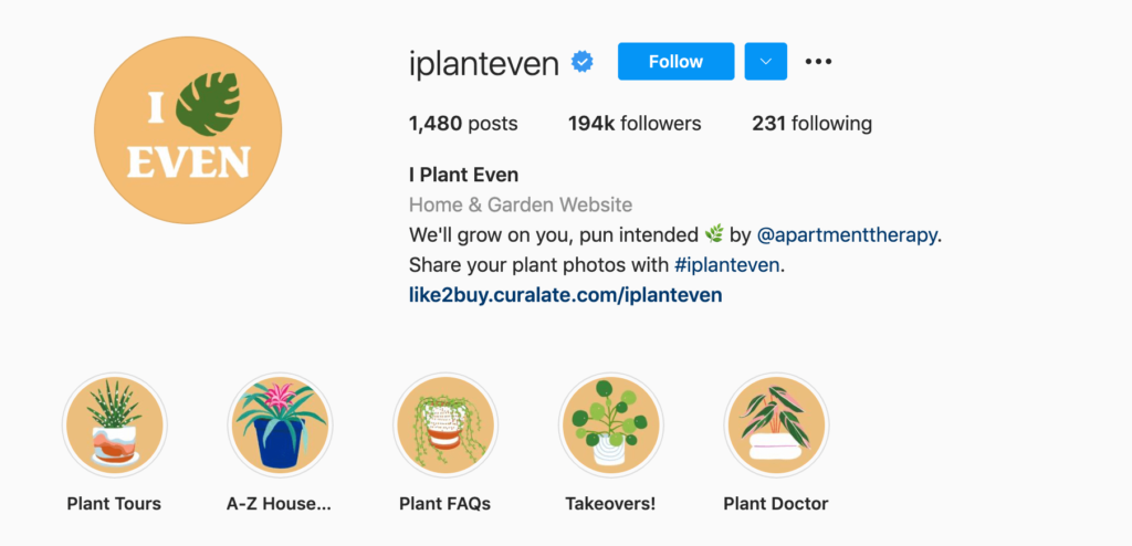 Top 6 Plant Lovers Instagram Accounts - AhaSave