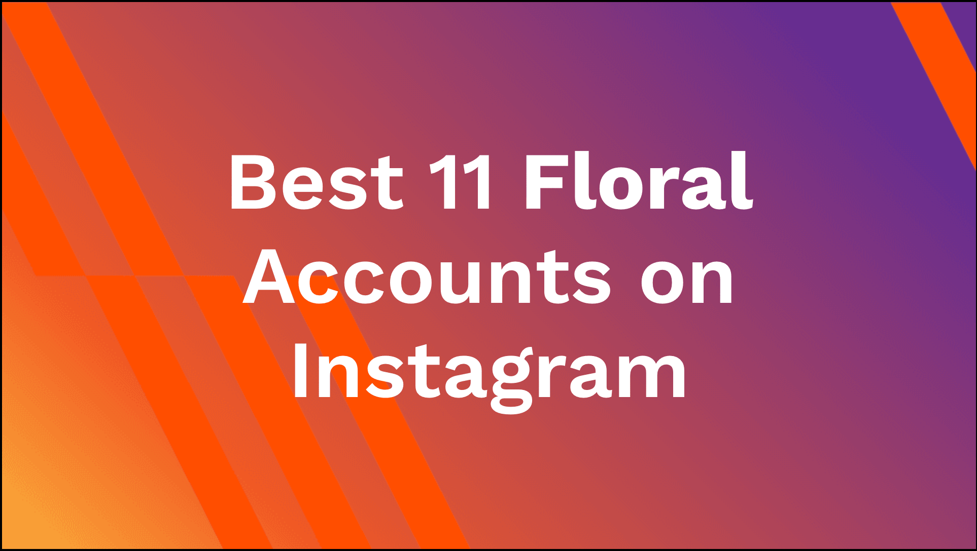 Best 11 Floral Accounts on Instagram