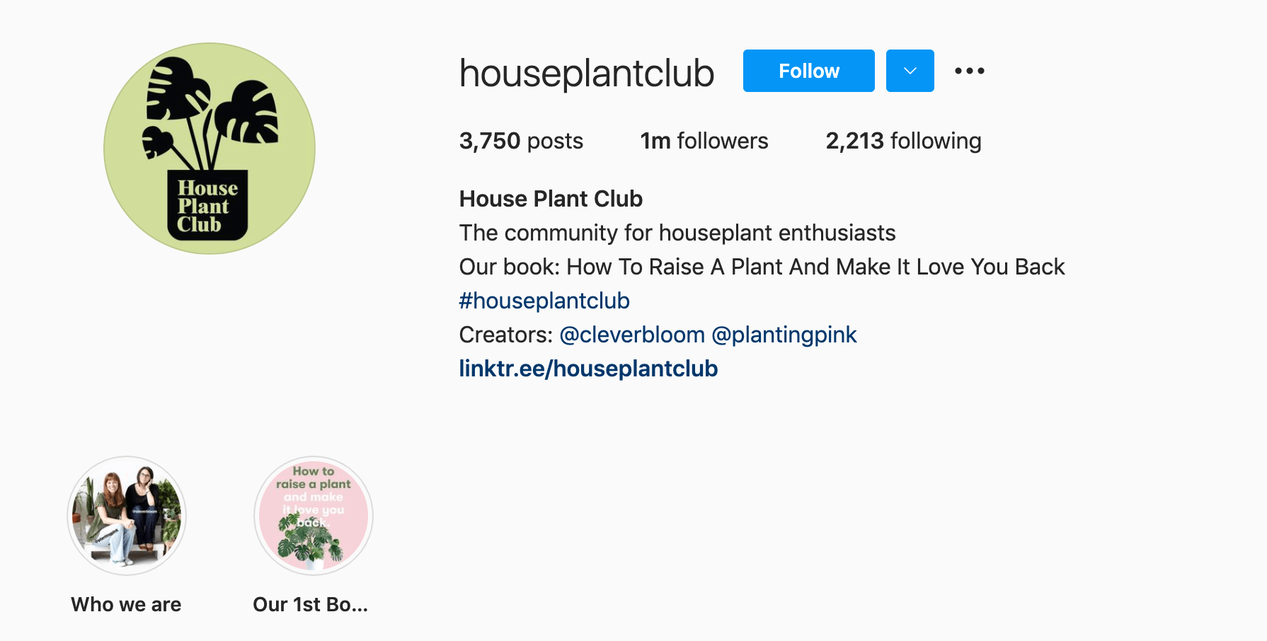 Top 6 Plant Lovers Instagram Accounts - AhaSave